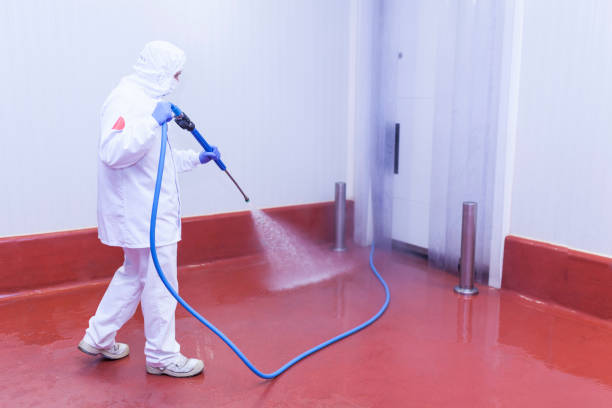 Best Building Exterior Washing  in Walkertown, NC